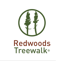 Redwoods Treewalk